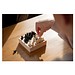 Reisespiel-Set Collection, natur